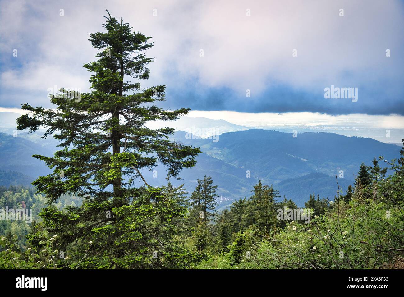 Black forest germany sky view hi-res stock photography and images - Alamy