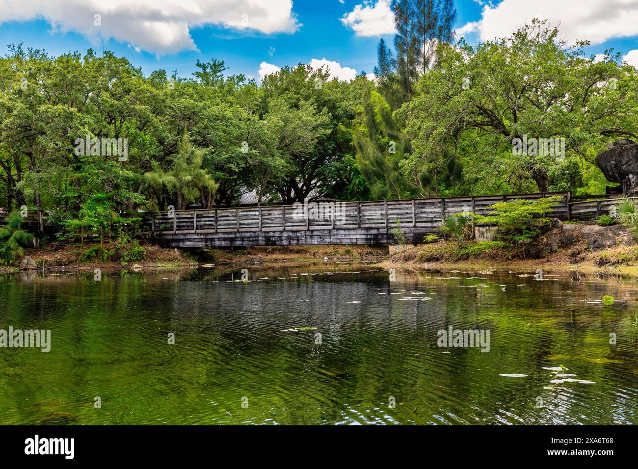 Bridge scenic trees hi-res stock photography and images - Alamy