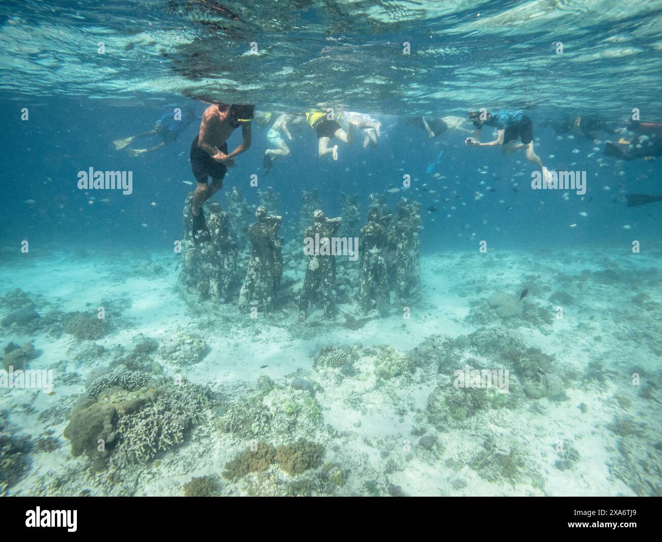 A group of individuals observing the Bask Nest Underwater sculptures by Gilli Mino Stock Photo