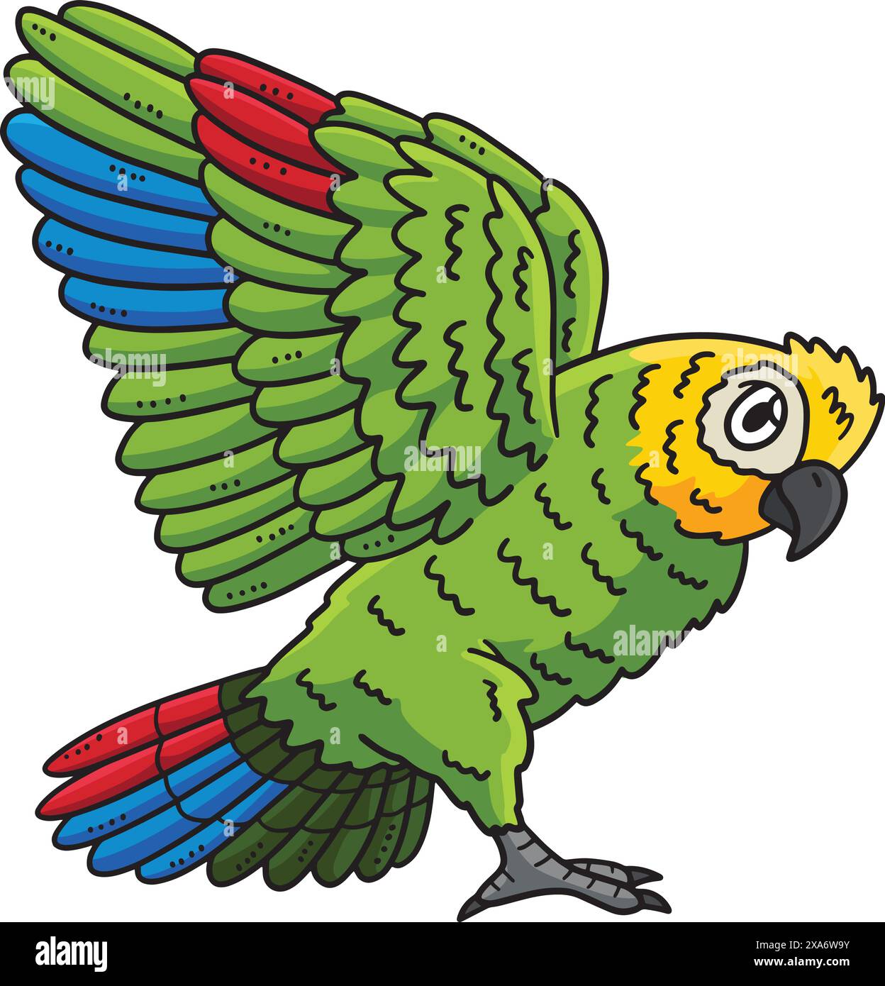 Amazon Parrot Bird Cartoon Colored Clipart Stock Vector Image & Art - Alamy