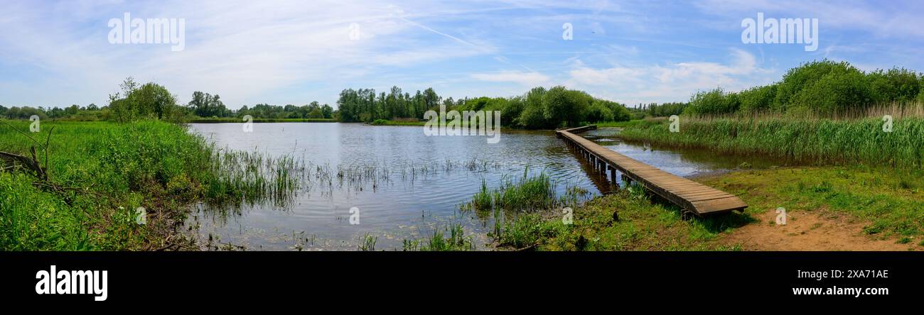 A wooden pier extends into a serene lake surrounded by lush forest Stock Photo