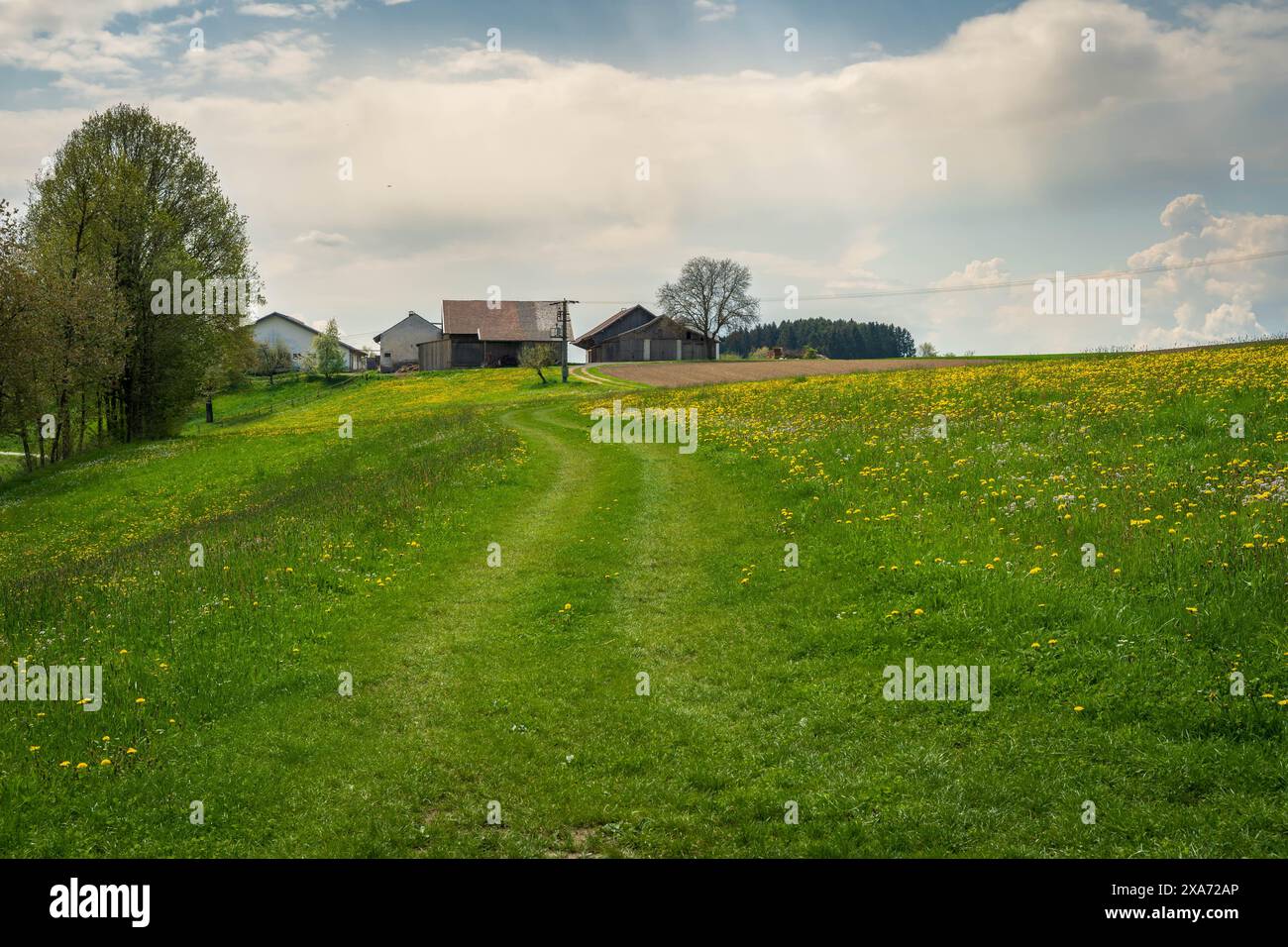 Spacious rural farm field hi-res stock photography and images - Alamy