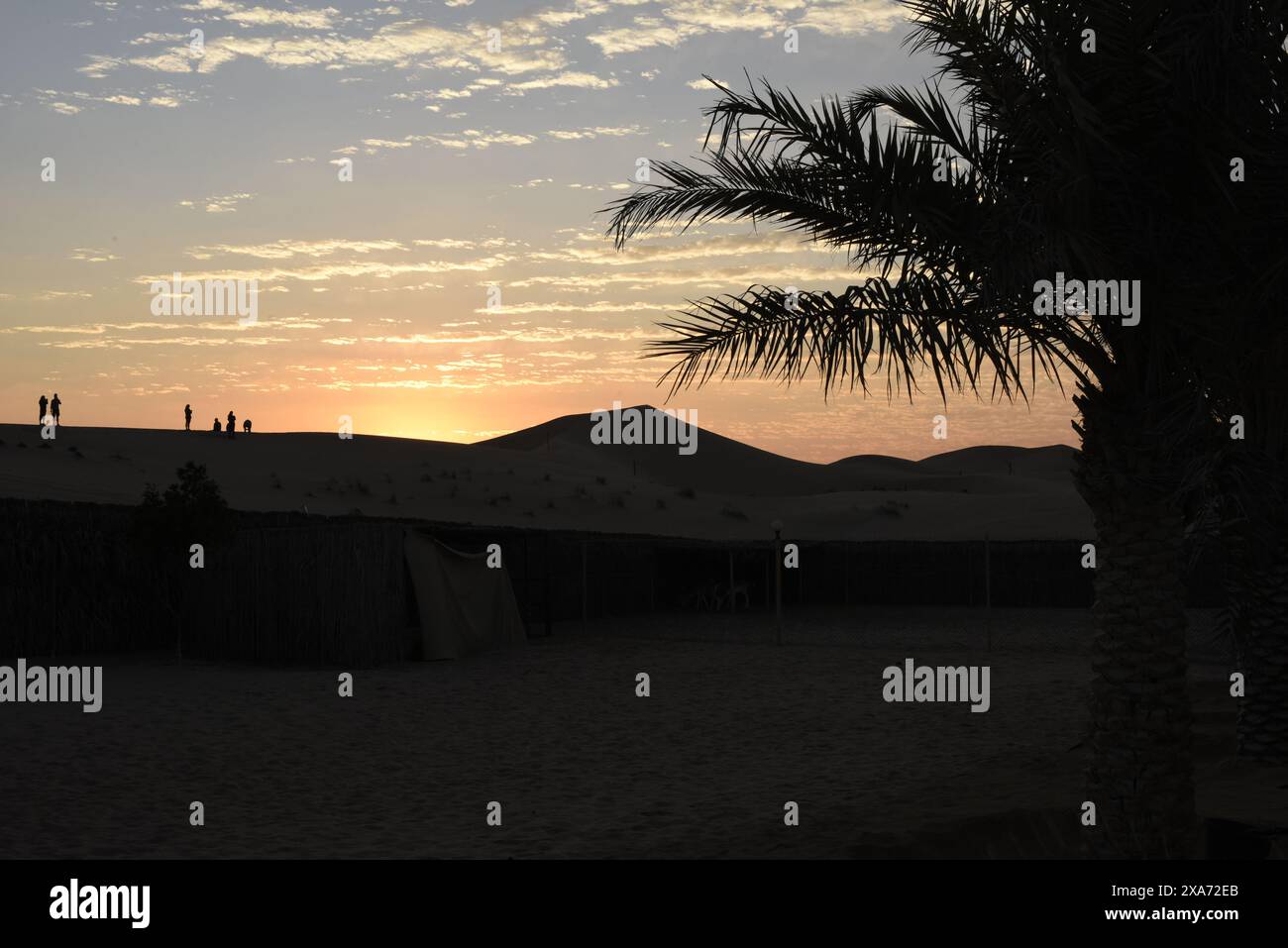 Sunset over desert landscape with trees and sand dunes Stock Photo - Alamy