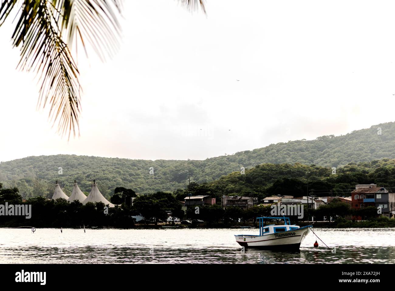 A boat glides on water by hills and palm trees Stock Photo