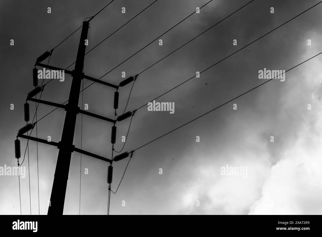 Monochrome image of power lines and telephone poles contrasting with a cloudy sky Stock Photo