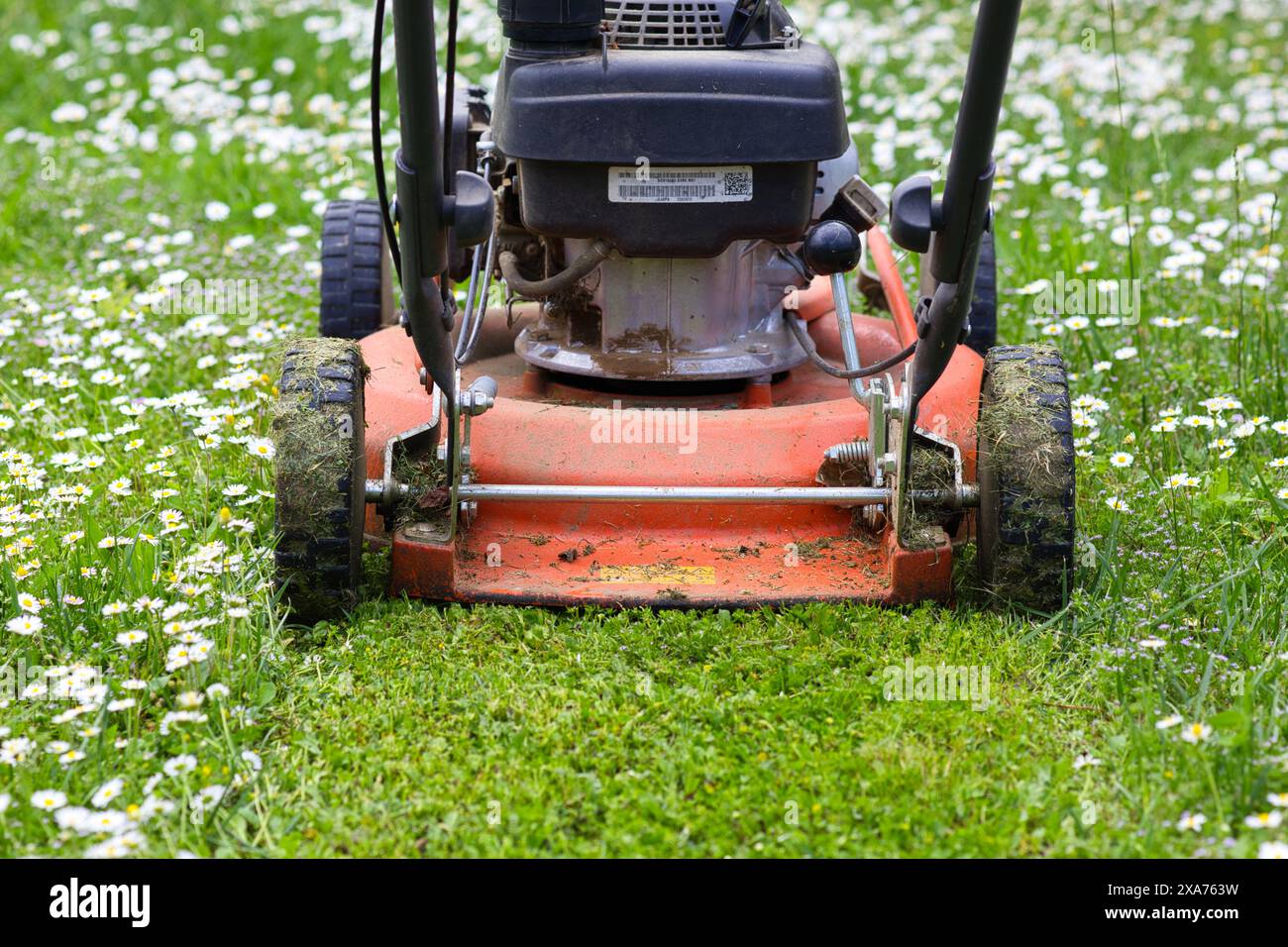 Bright orange lawn mower with a small amount of cut grass Stock Photo