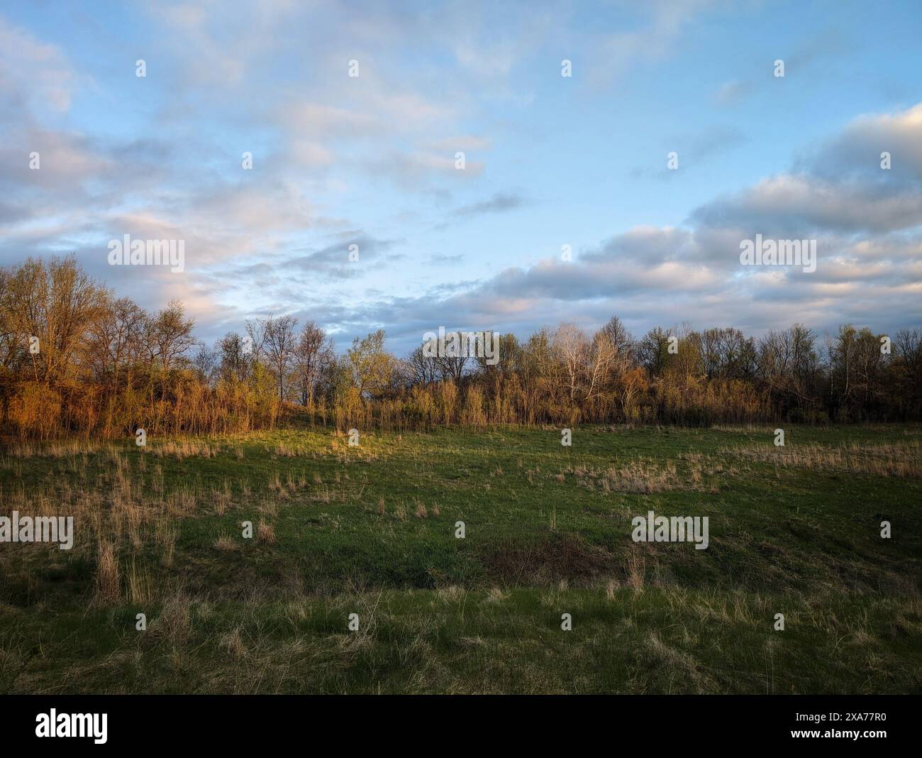 Lush green grass field with yellowing trees under a cloudy sky Stock ...