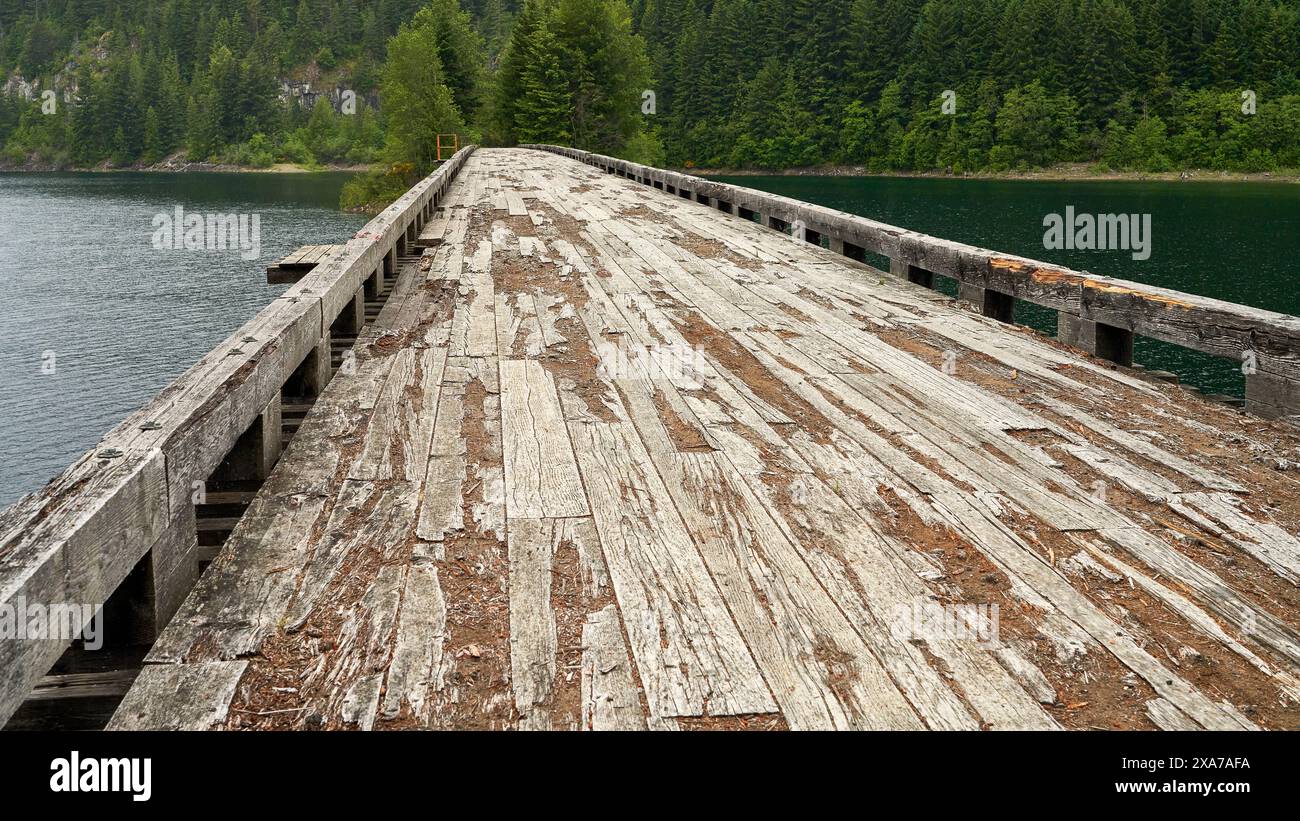 Abandoned logging road hi-res stock photography and images - Alamy