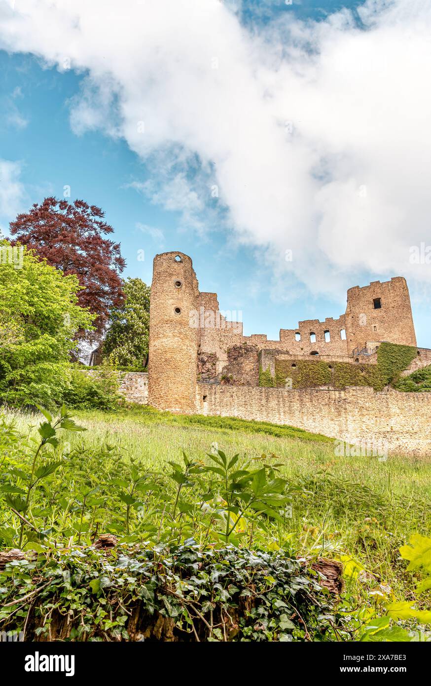 View of the castle ruins of Frauenstein in the town of the same name, Saxony, Germany Stock Photo