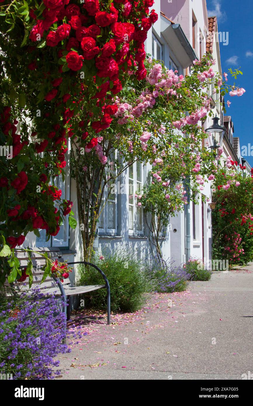 Historic houses in the street An der Mauer, Hanseatic City of Luebeck, Schleswig-Holstein, Germany Stock Photo