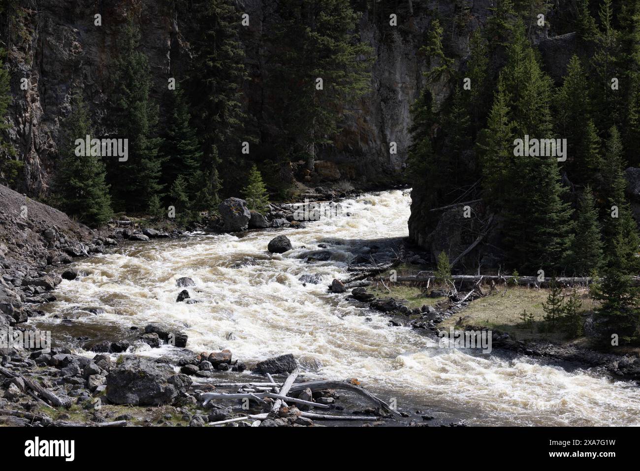 A rapid river flowing through forested area Stock Photo