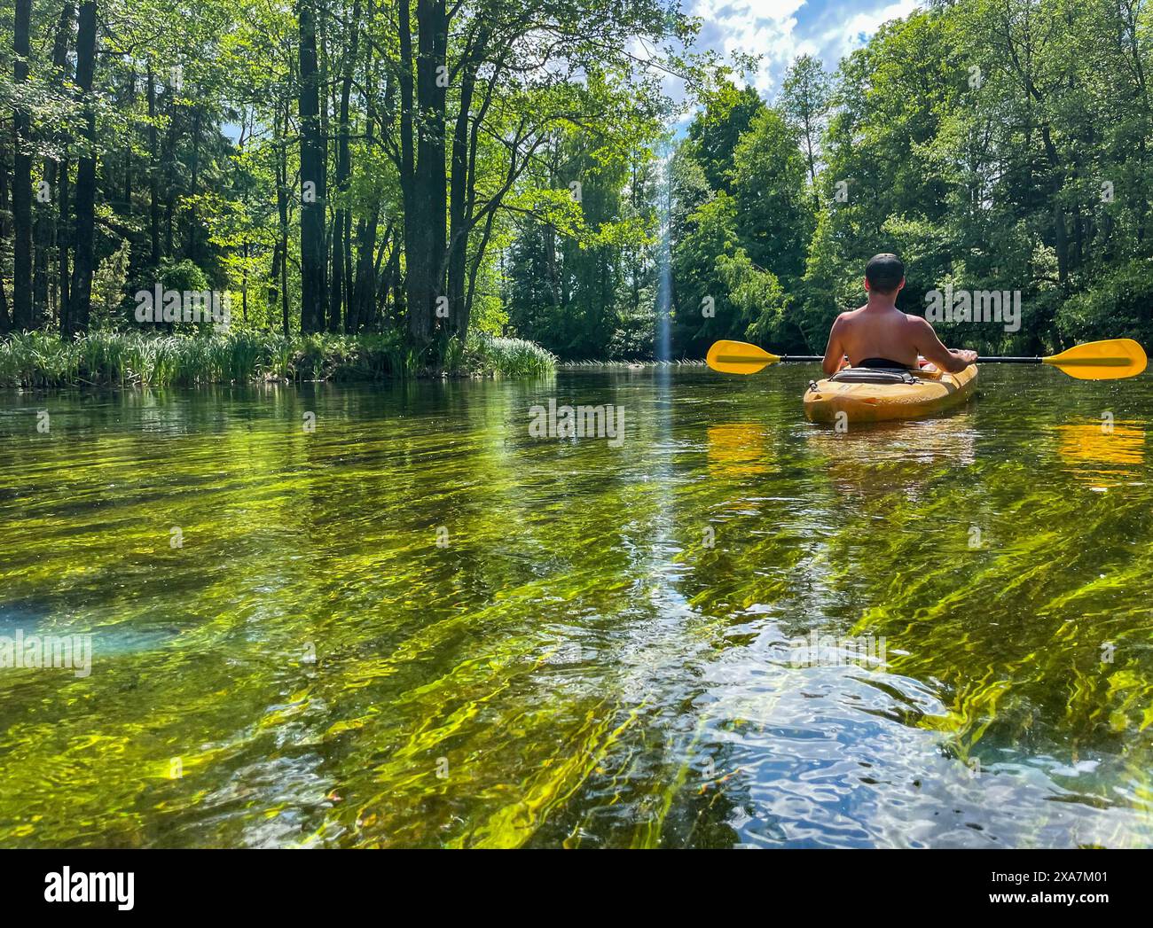 A man paddling canoe in shallow forest stream in Czarna Hancza River, Poland Stock Photo