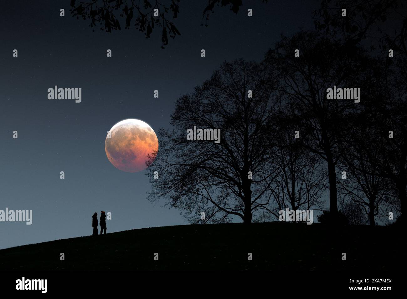Total lunar eclipse. Stock Photo