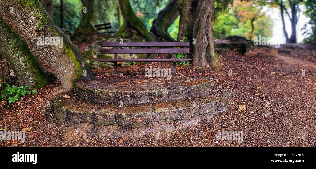 A wooden bench nestled between two trees at the beginning of a trail ...