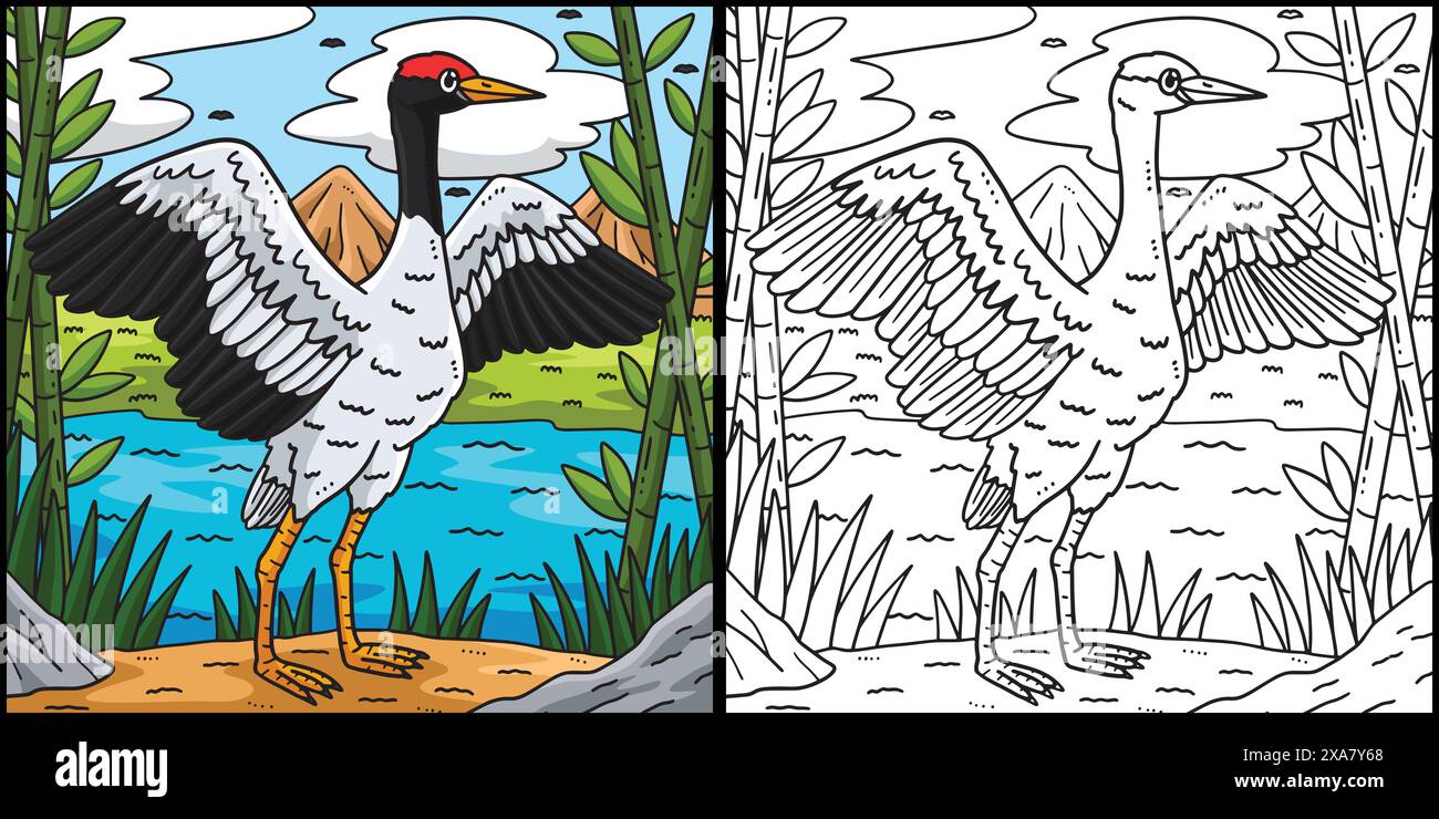 Crane Bird Coloring Page Colored Illustration Stock Vector Image & Art ...