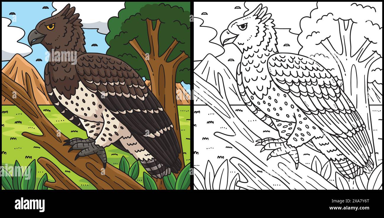 Martial Eagle Bird Coloring Page Illustration Stock Vector Image & Art ...