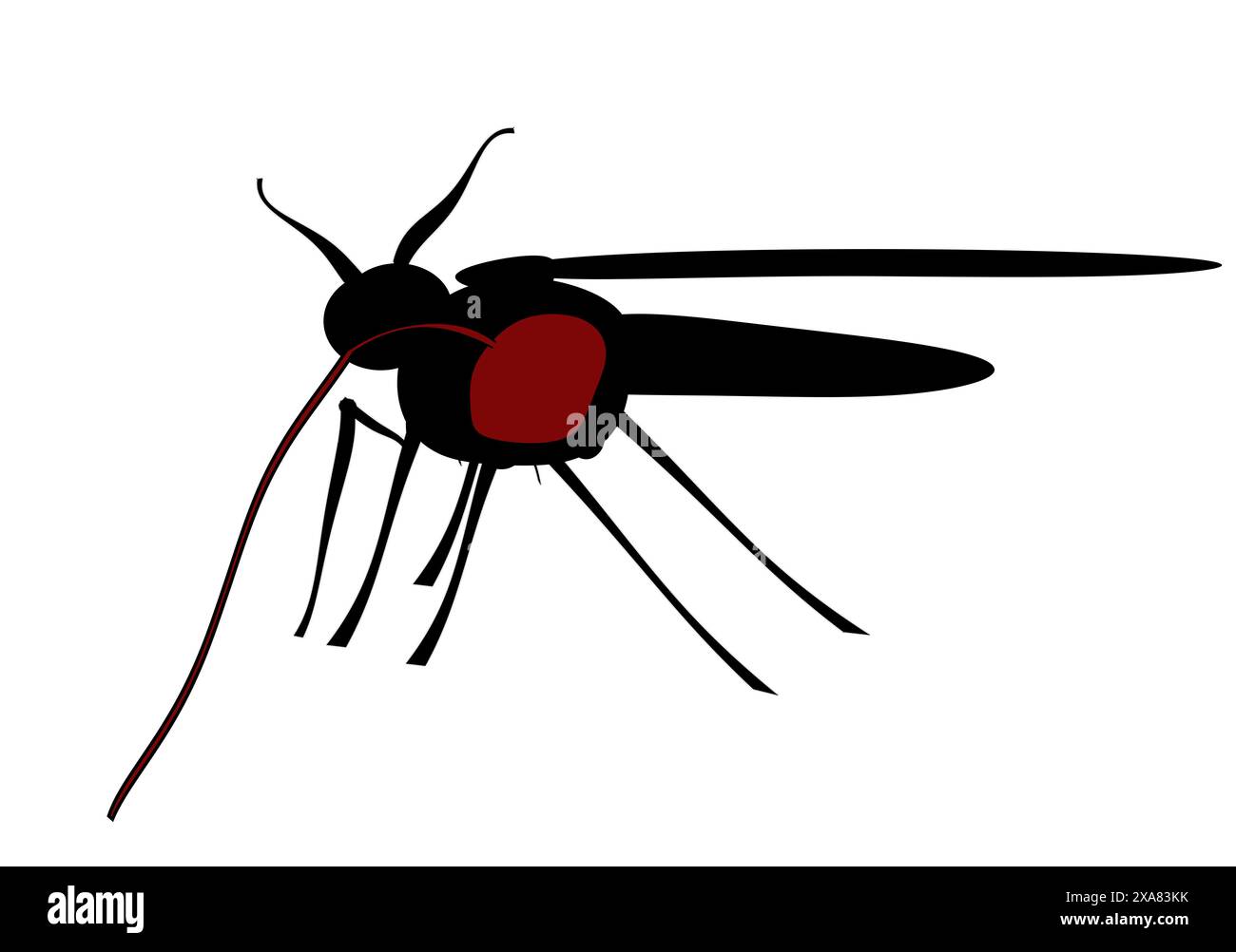 Insect spring 2024 hi-res stock photography and images - Alamy