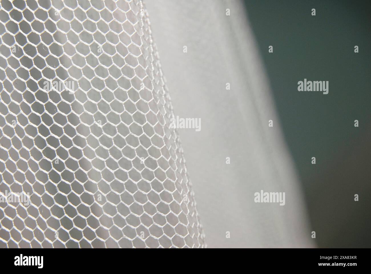 Insect spring 2024 hi-res stock photography and images - Alamy