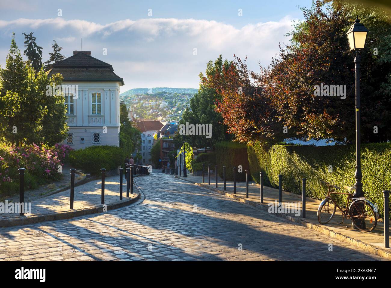 Cobbled street in Buda Stock Photo