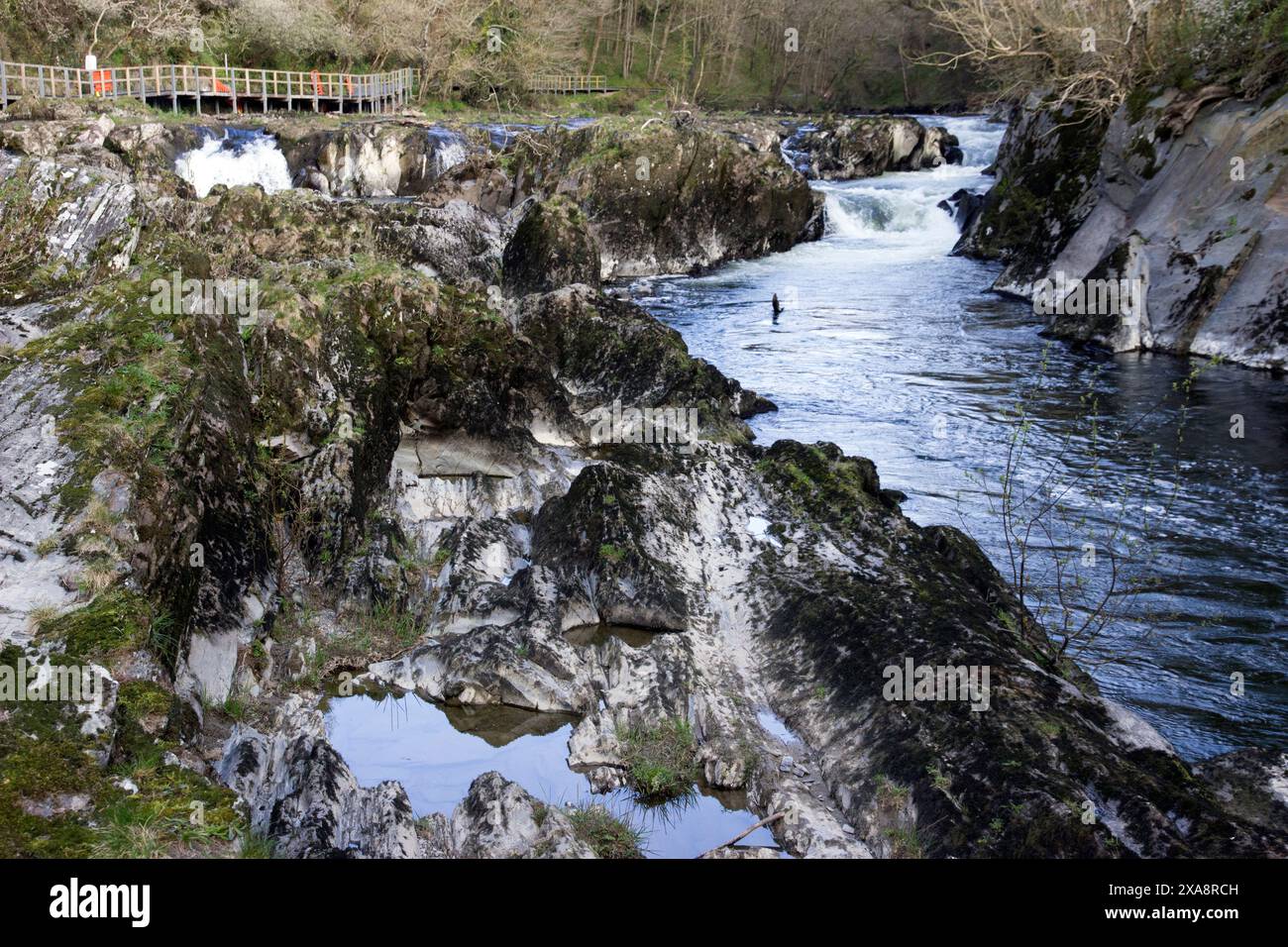 Cenarth Bridge is a single-carriageway three-arch rubble road bridge crossing the river Teifi, built by David Edwards in 1785-7. Stock Photo