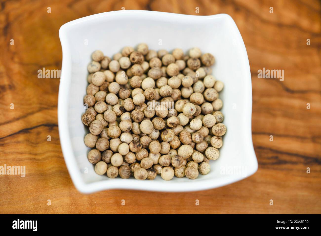 black pepper (Piper nigrum), white Kampot pepper in a porcelain bowl Stock Photo