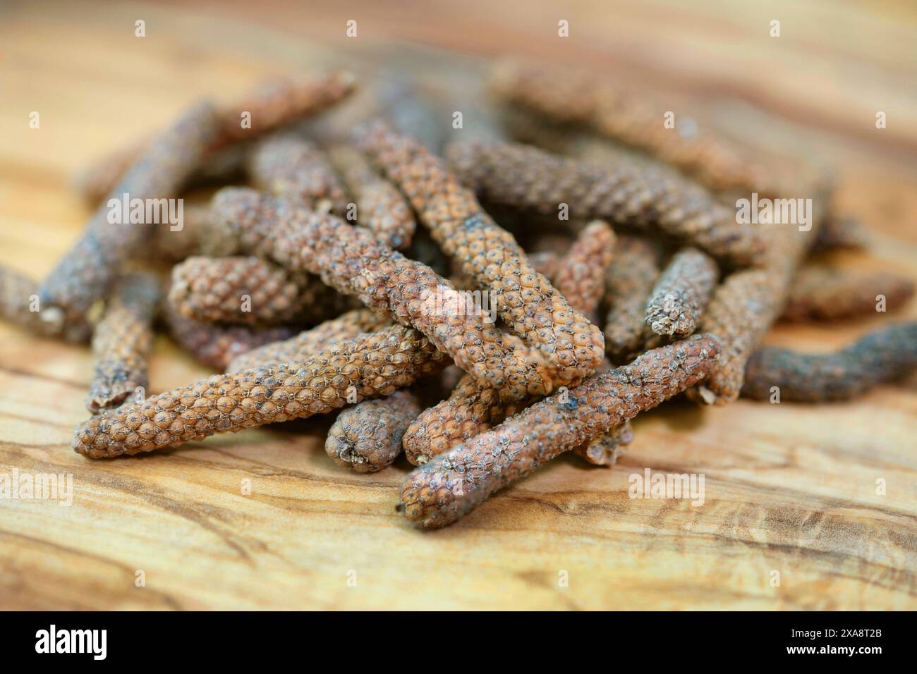 long pepper (Piper longum), on a wooden board Stock Photo