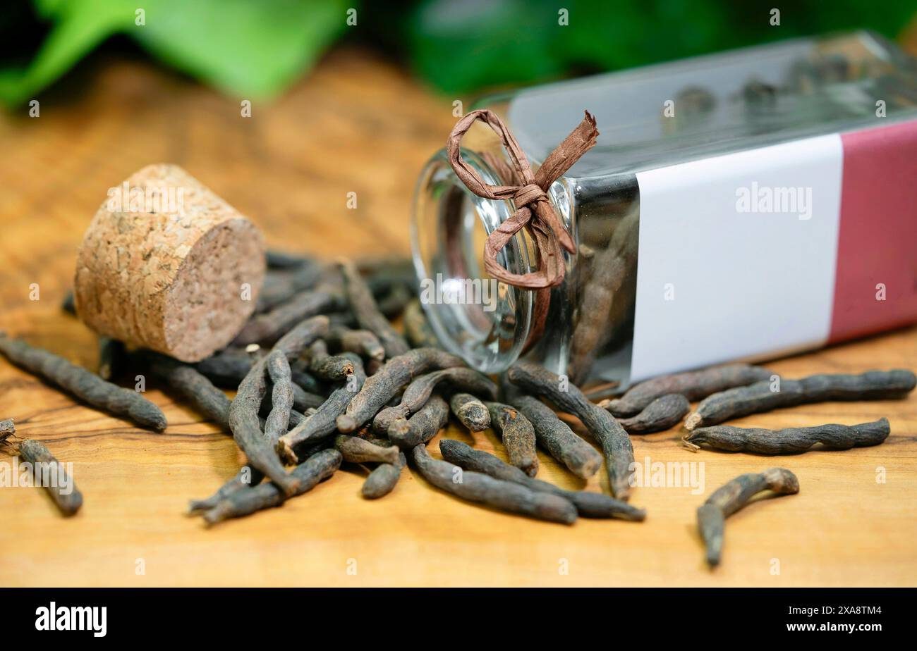 long pepper (Piper longum), on a wooden plate with glass container Stock Photo