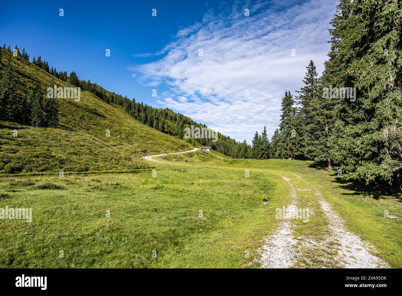 Winding road through lush green hills under a blue sky with wispy ...