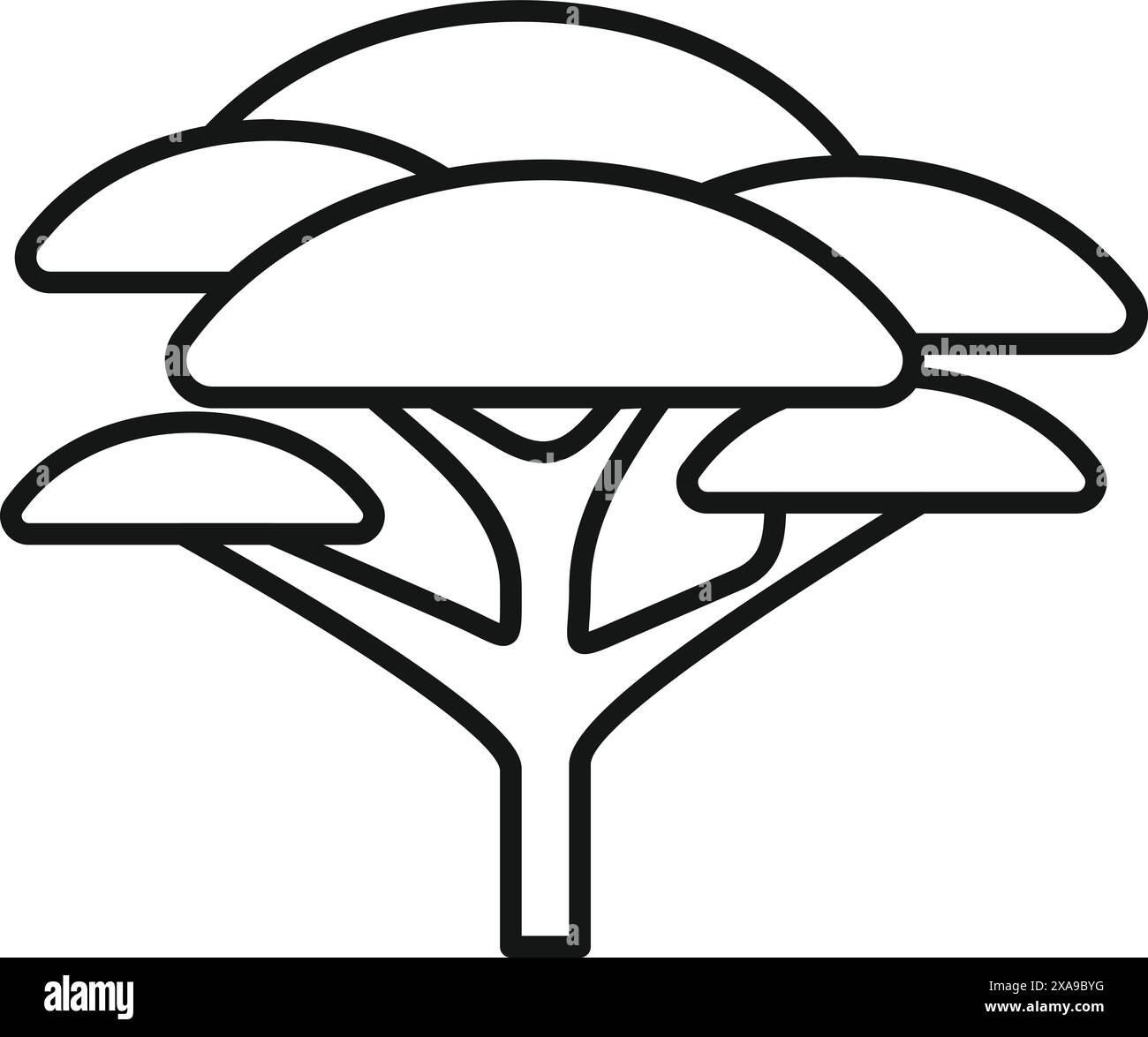 Presenting an umbrella thorn acacia tree symbolizing resilience and 