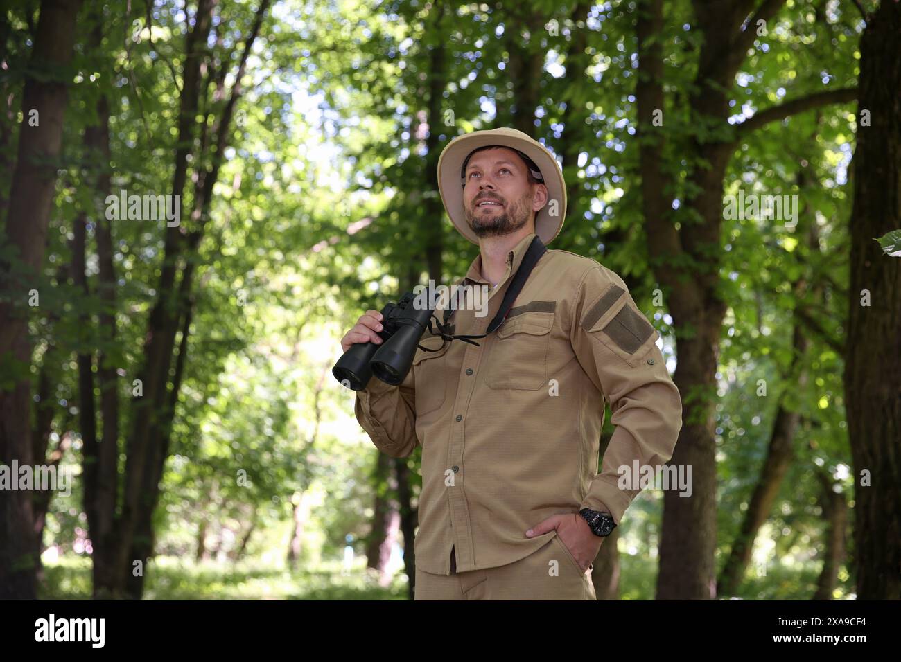 Forester with binoculars examining plants in forest Stock Photo