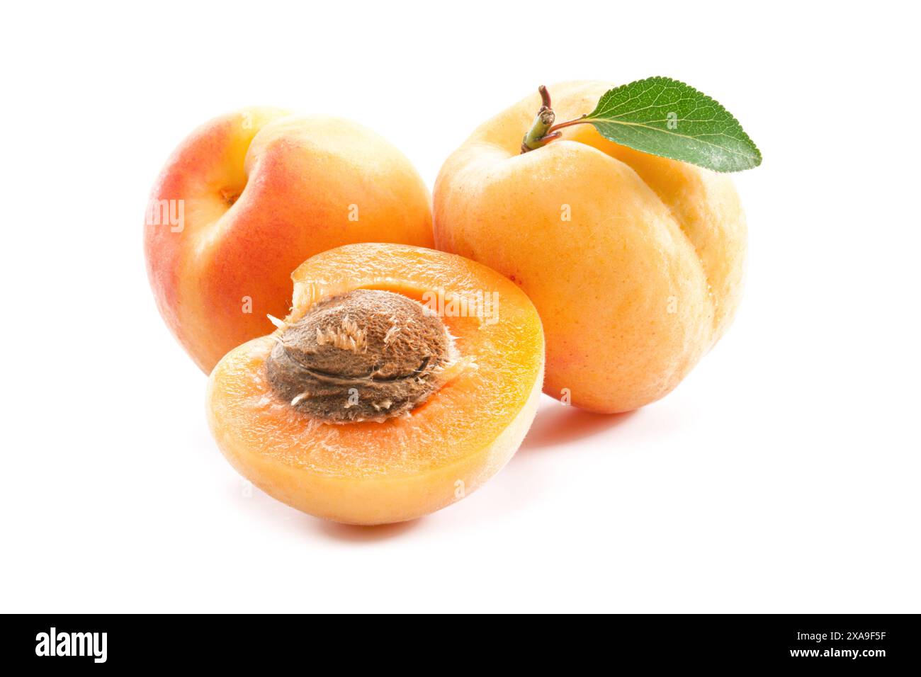Apricots isolated on white background Stock Photo