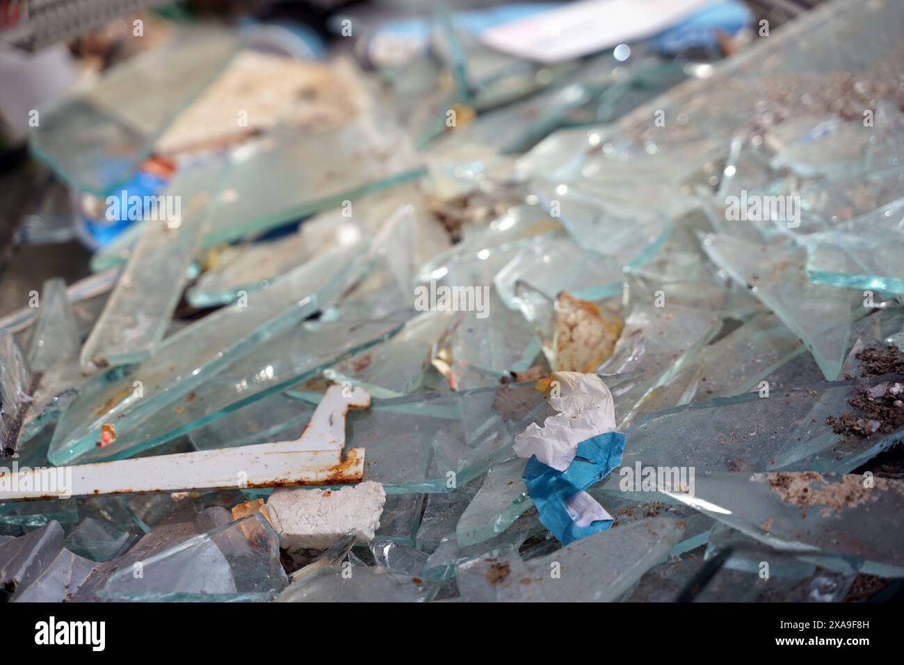 Glass shards broken in a container Stock Photo