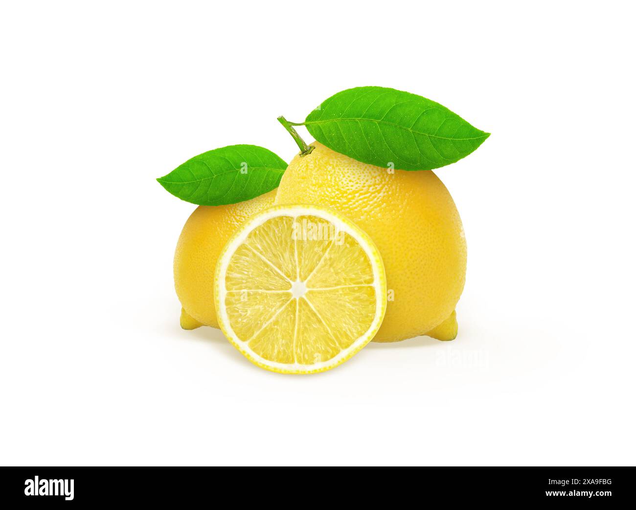 Lemon Fruit with Leaf Isolated on White Background Stock Photo