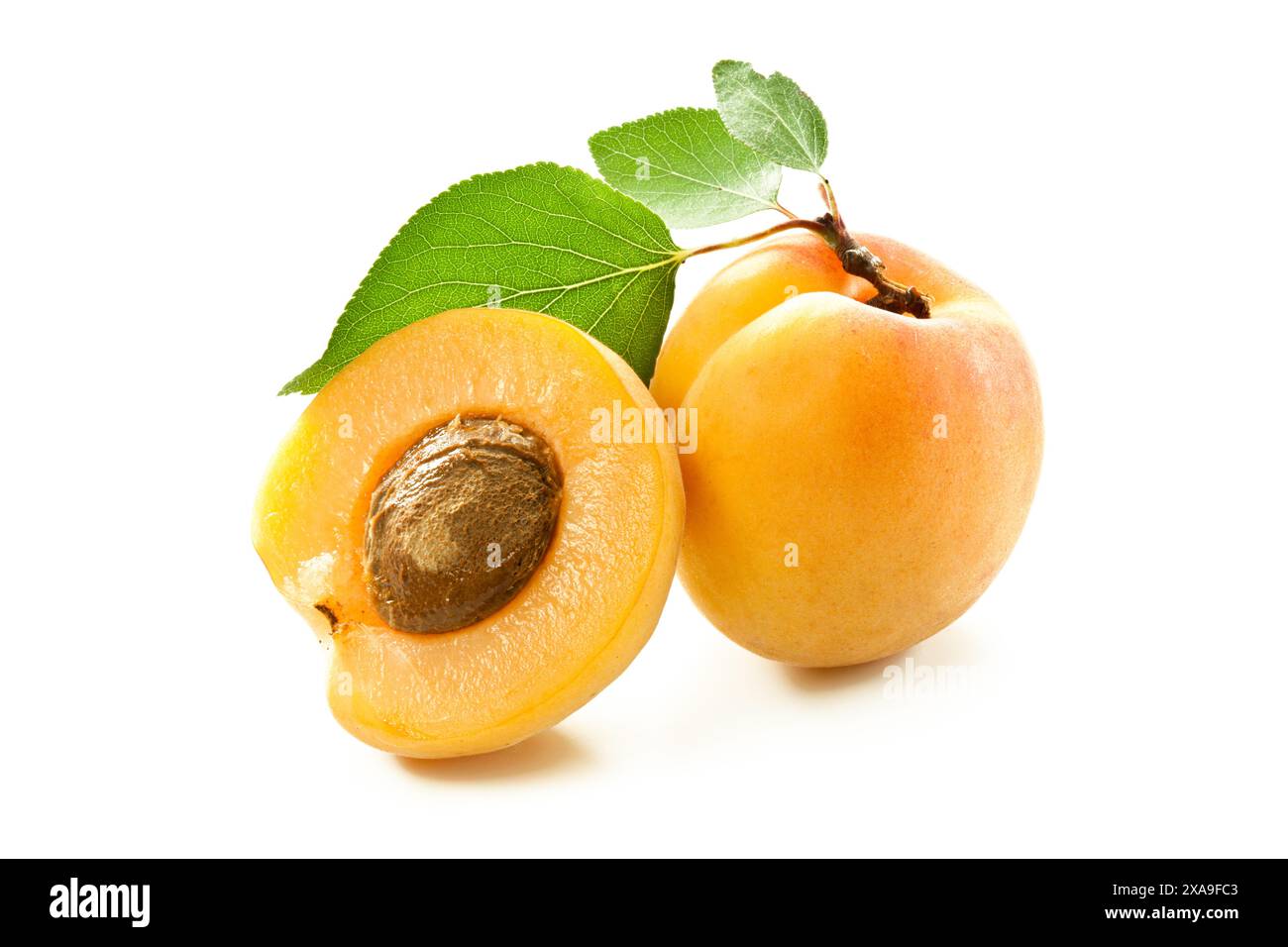 Apricots isolated on white background Stock Photo