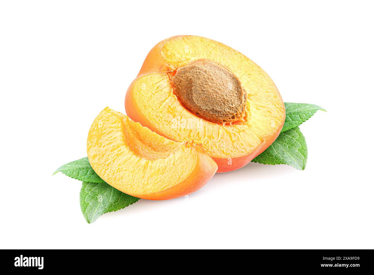 Apricots isolated on white background Stock Photo