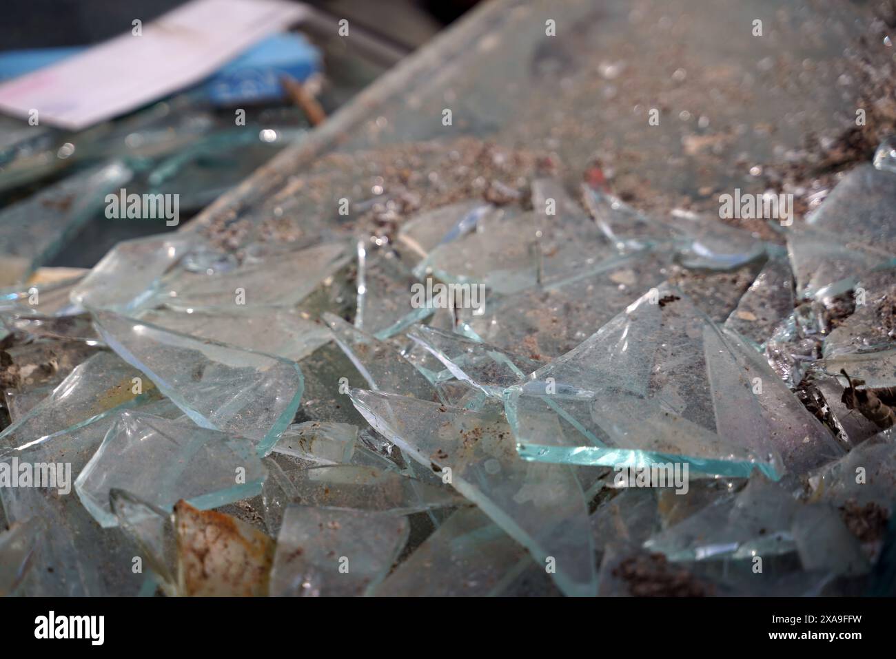 Glass shards broken in a container Stock Photo