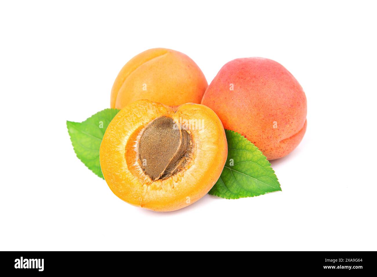 Apricots isolated on white background Stock Photo