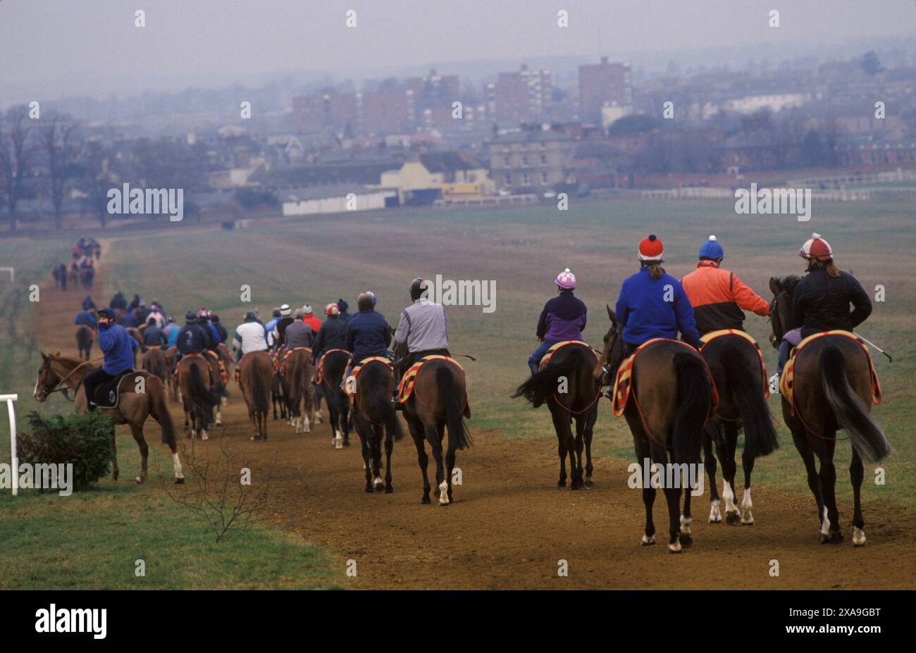 Horse stable racing hi-res stock photography and images - Alamy