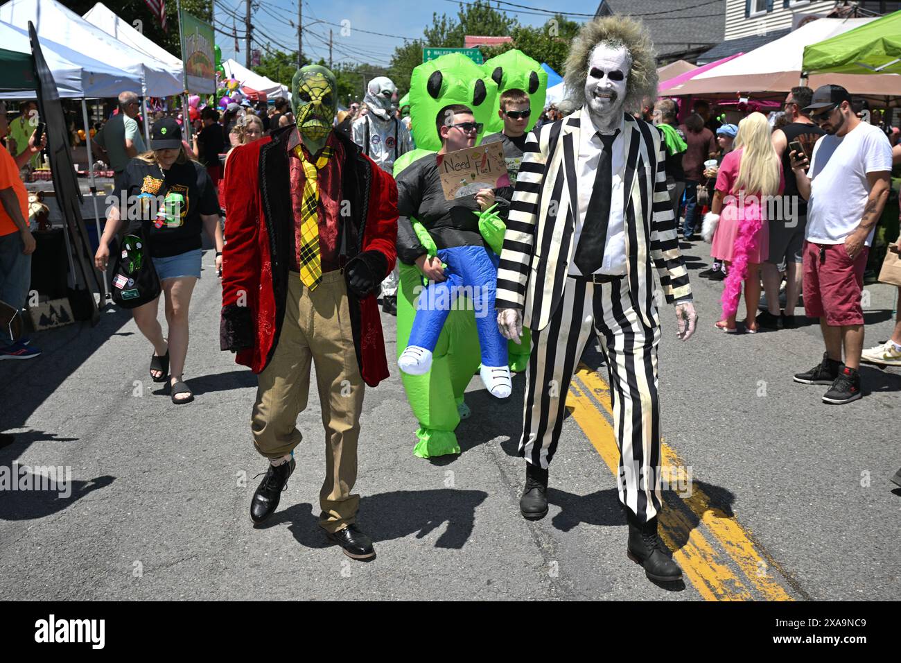 People dress in costumes at the 13th Annual Pine Bush UFO Fair on June ...