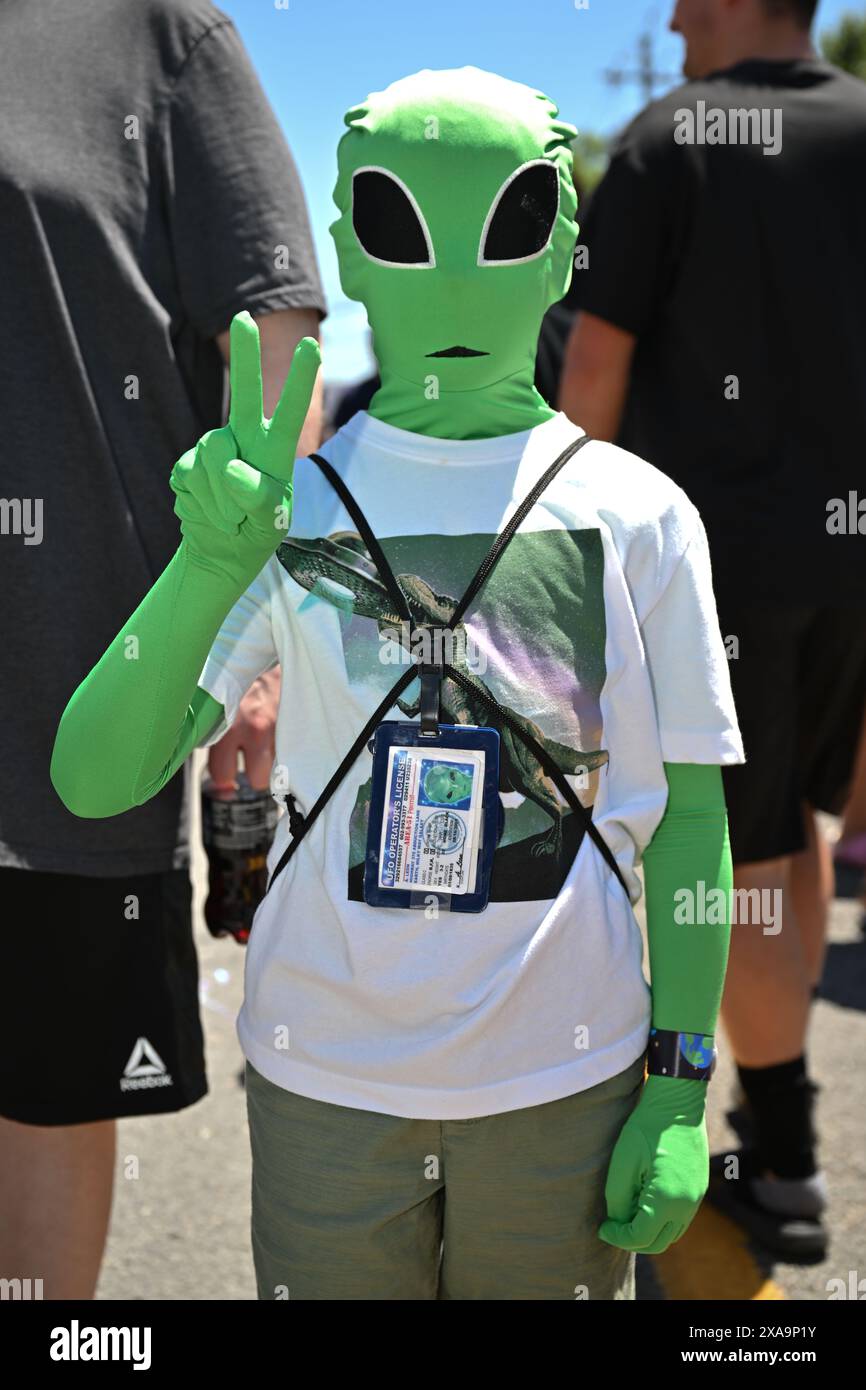 People dress in costumes at the 13th Annual Pine Bush UFO Fair on June ...
