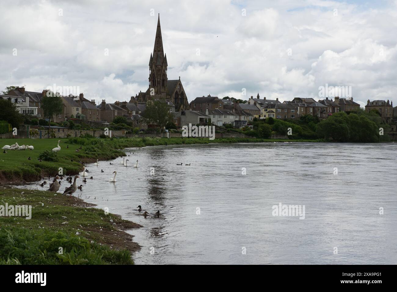 The Scottish border town of Kelso and the River Tweed, with St Andrews church, Scotland, UK Stock Photo