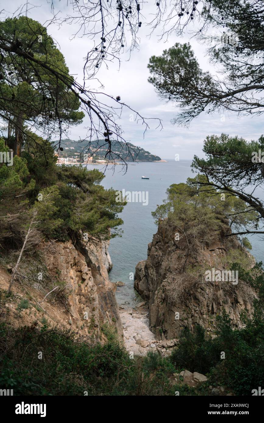 Impressive ocean cliffs with towering rocks and lush trees Stock Photo