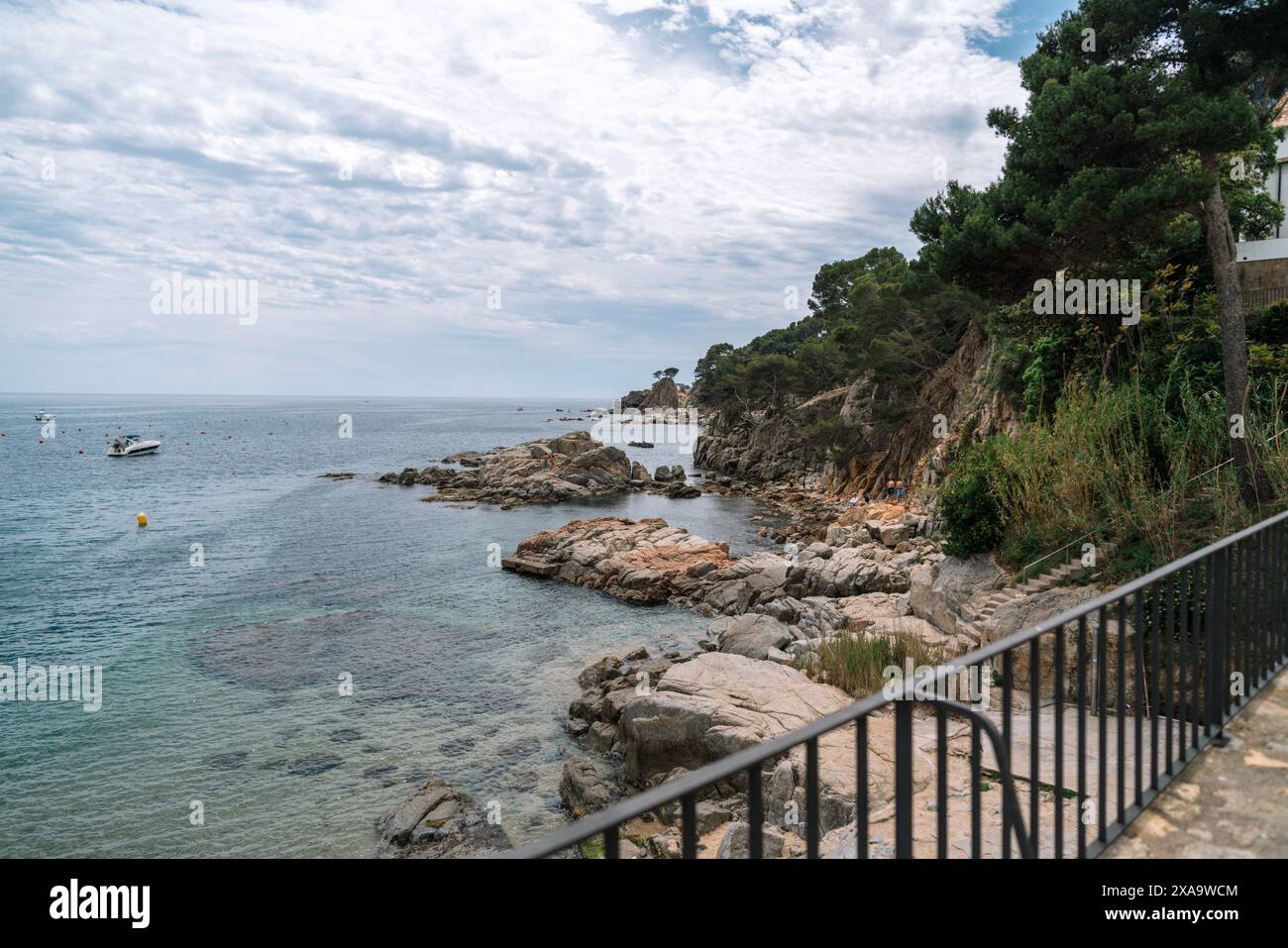 Scenic coastal path by the sea with rocks and grass Stock Photo - Alamy