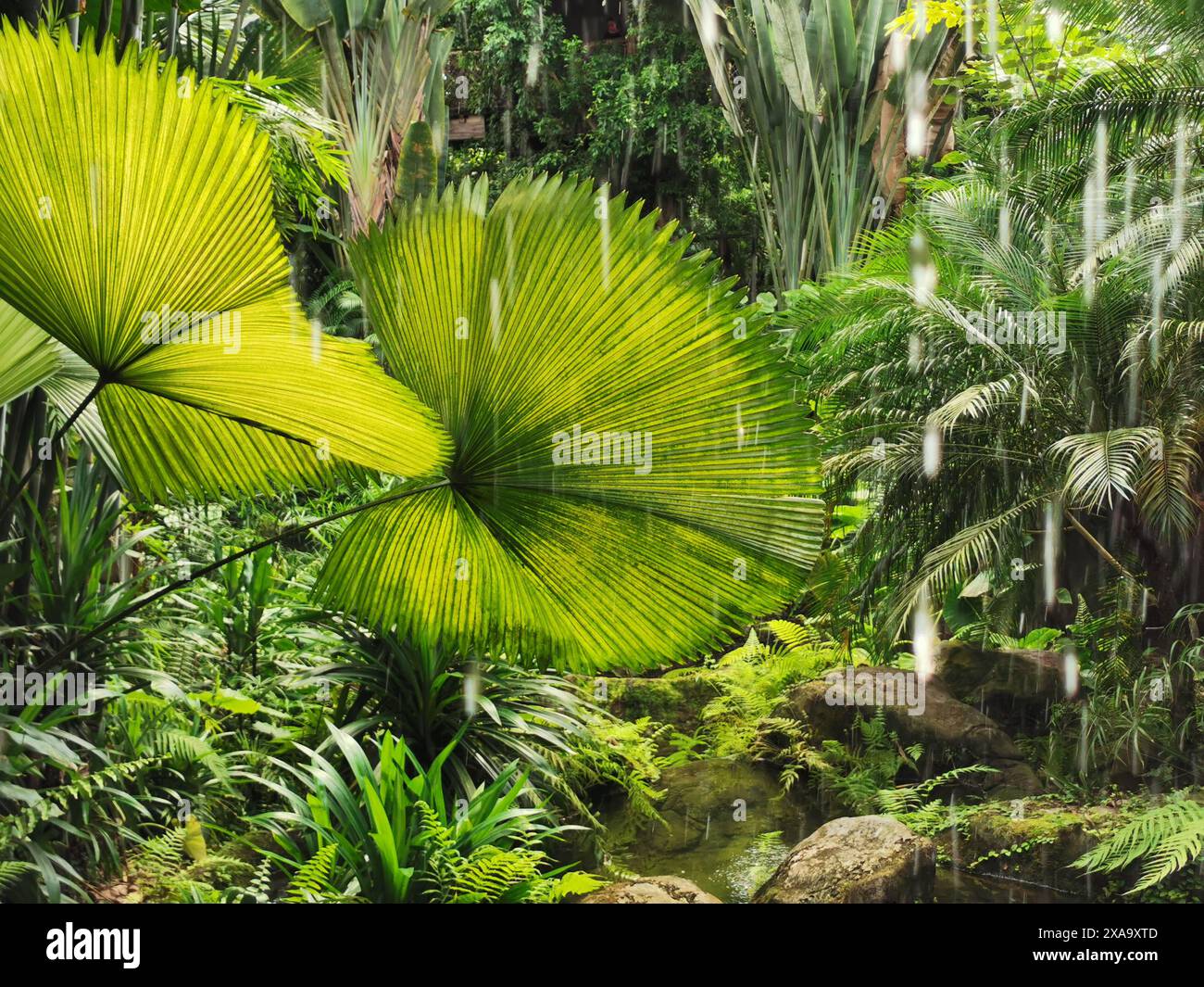 Abundant flora hi-res stock photography and images - Alamy