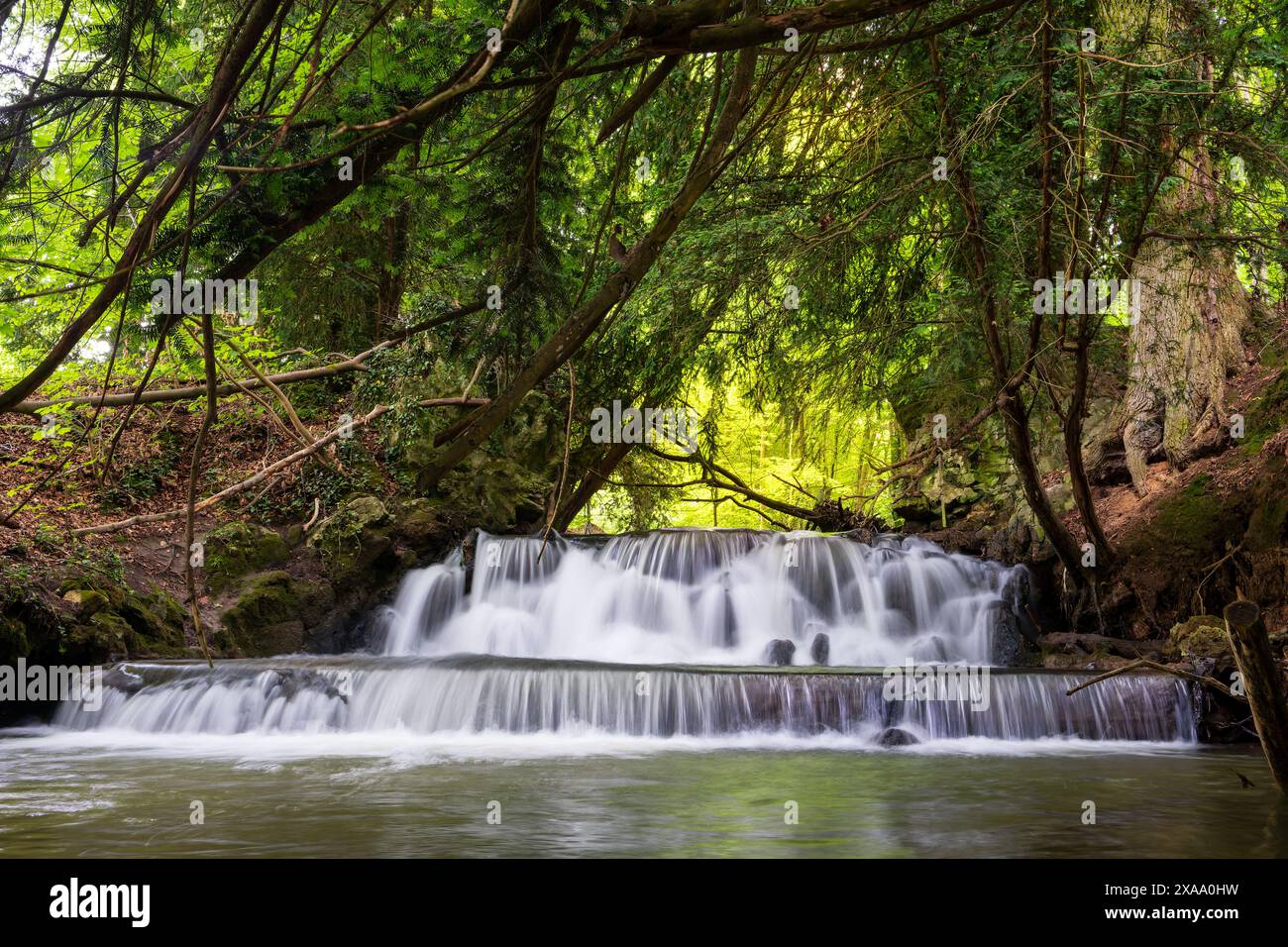 Waterfall in the forest Stock Photo