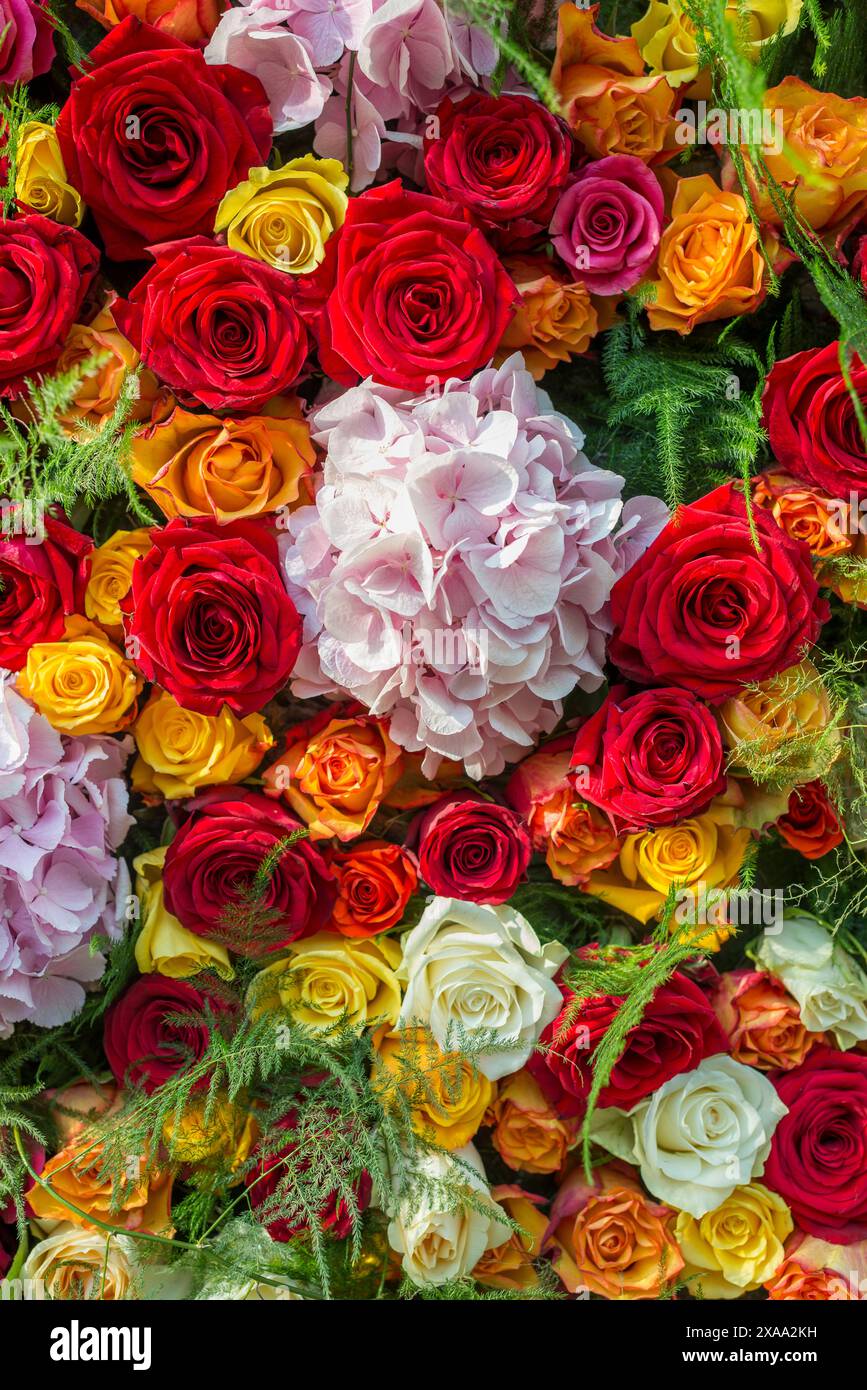 A variety of colorful roses and assorted flowers and leaves Stock Photo ...