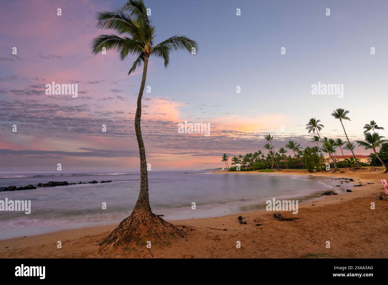 A tropical beach scene with palm trees in Hawaii. Stock Photo