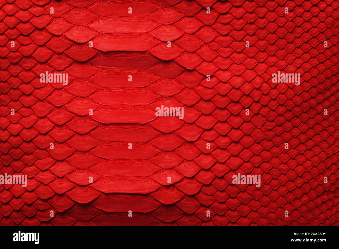 red python skin as background. snake skin texture with natural pattern Stock Photo