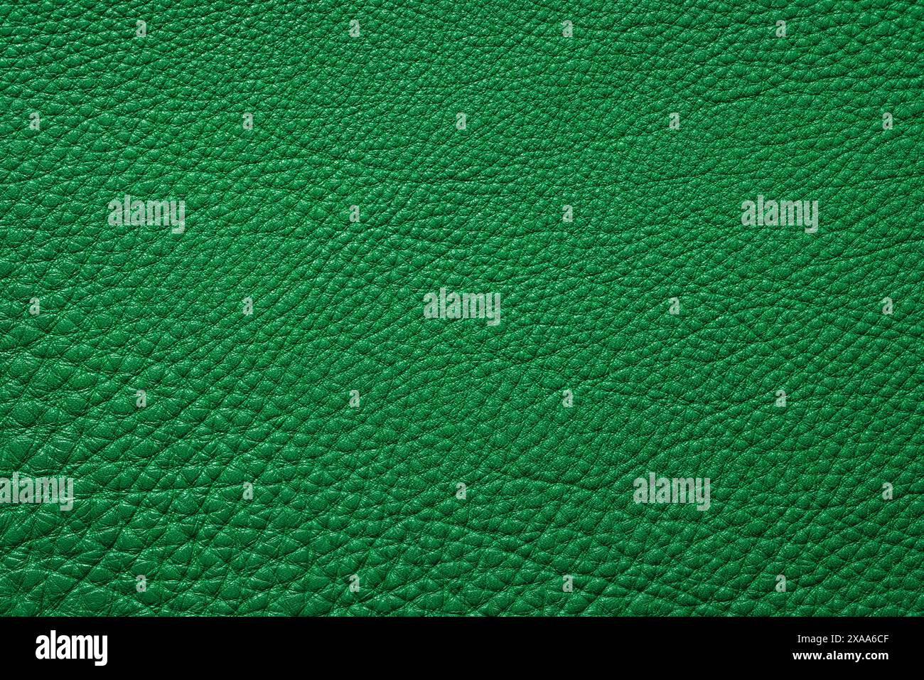 green leather texture background with natural pattern Stock Photo