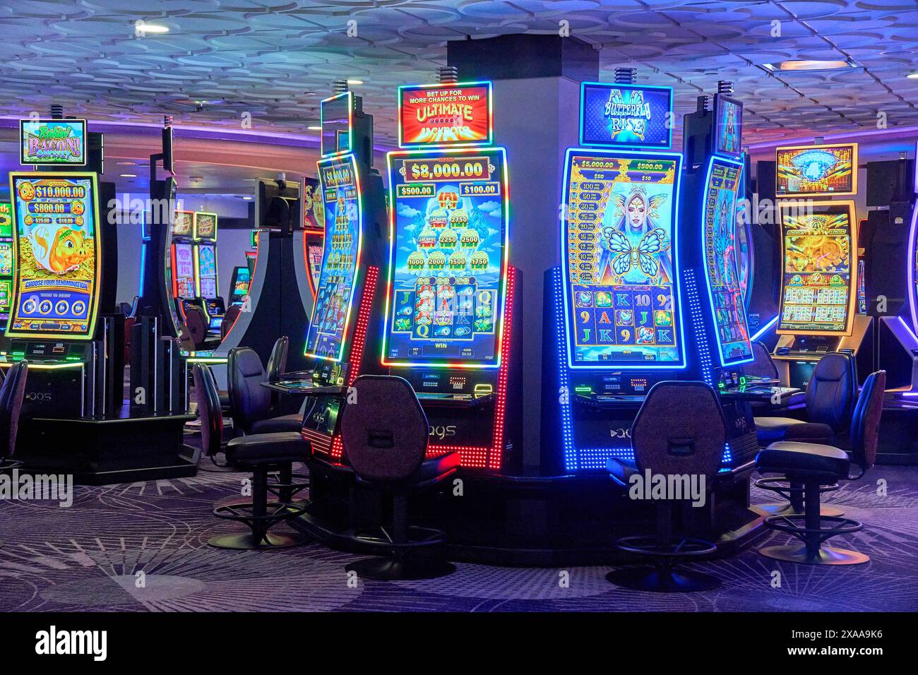 Casinoin Casino Anmeldebonus Freispiele: Extra-Chancen beim Start